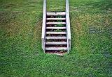 Lock Steps_12208